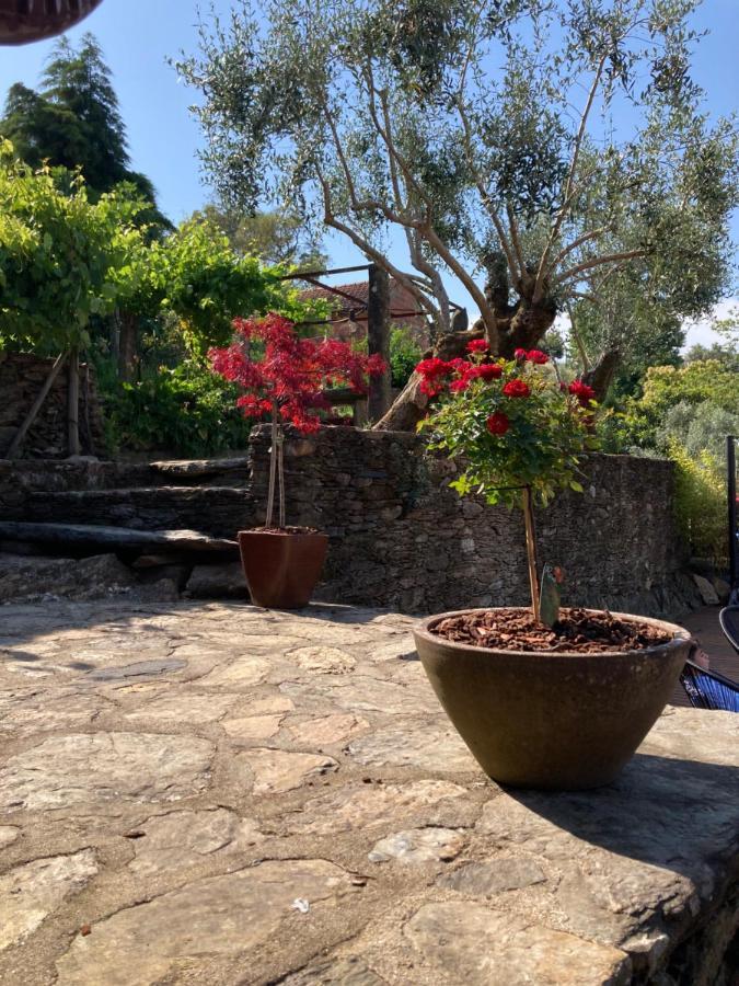Villa Casa Lia Da Porta Caminha Esterno foto