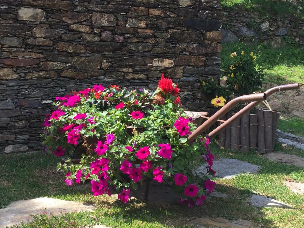 Villa Casa Lia Da Porta Caminha Esterno foto